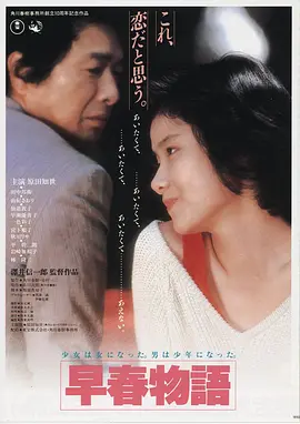 非诚勿扰电影海报